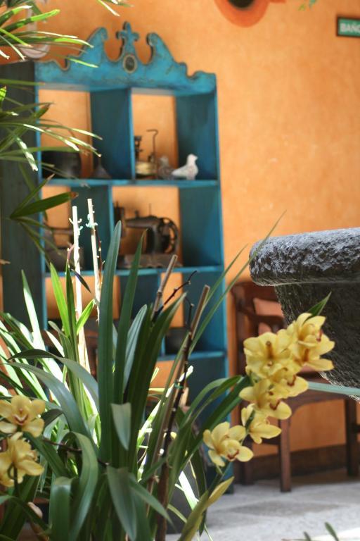 Hotel Casa Del Aguila Κουένκα Εξωτερικό φωτογραφία